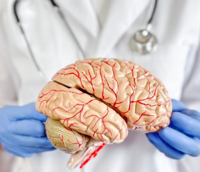 What Does a Brain Surgeon Do?